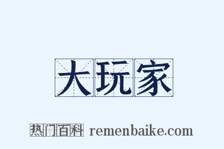 大玩家是什么意思的图片